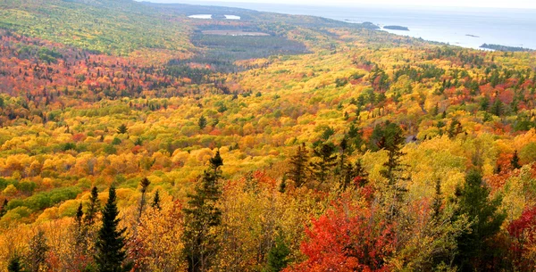 Beautiful autumn landscape — Stock Photo, Image