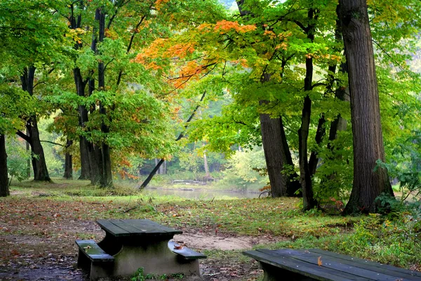 Leuchtende Herbstfarben — Stockfoto