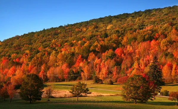 Krásná podzimní krajina — Stock fotografie