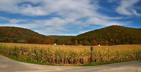 Outono na floresta de Allegheny — Fotografia de Stock