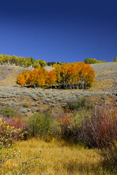 Paesaggio montano in Colorado — Foto Stock