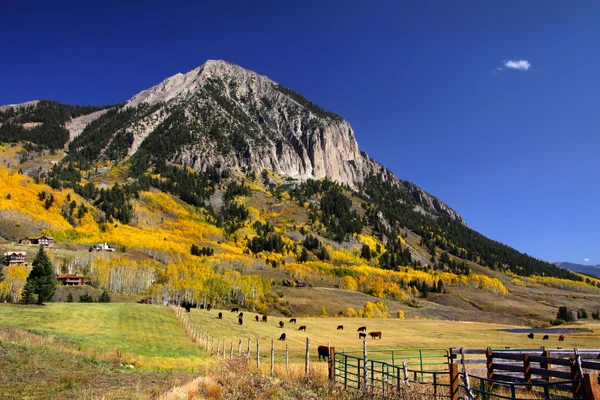 Crested Butte — Stockfoto