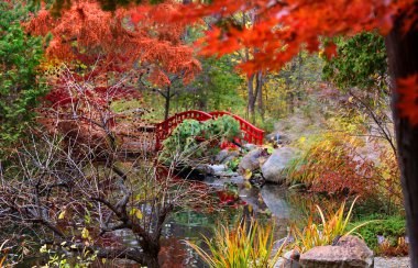 Japanese garden clipart