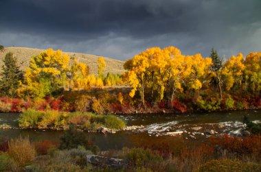 doğal riverscape