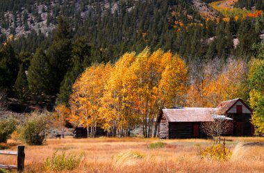 Colorado'nun güzel manzara