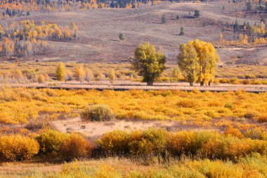 Wyoming sonbahar manzarası