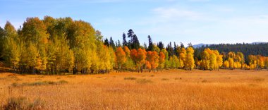 Autumn panorama clipart