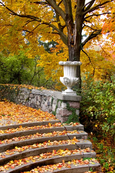 Autumn scene in a park — Stock Photo, Image