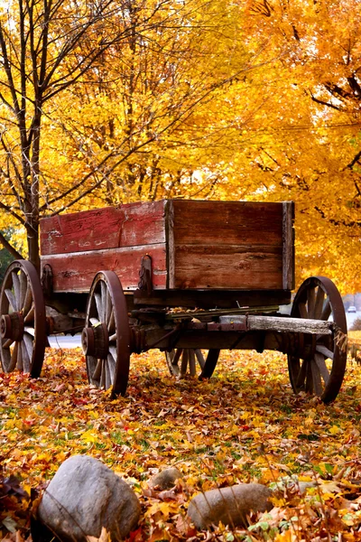 Stock image Antique Wagon and autumn colors