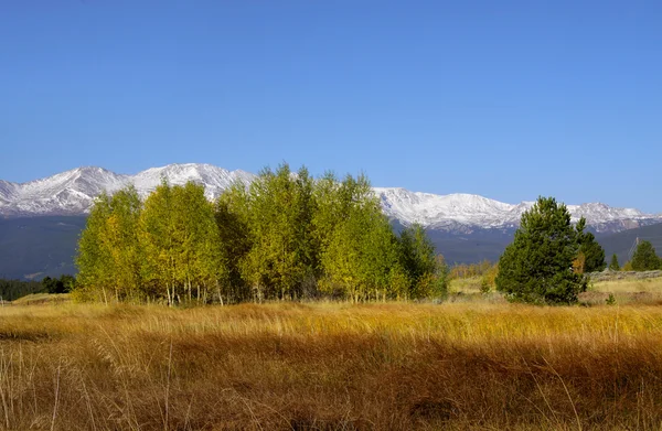 Malebnou podzimní krajina v Coloradu — Stock fotografie