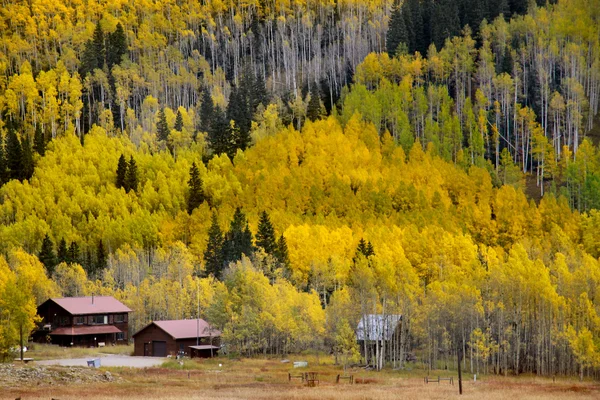 Schilderachtige herfst landschap — Stockfoto