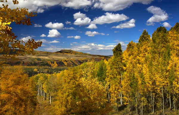 Scenic autumn landscape — Stock Photo, Image