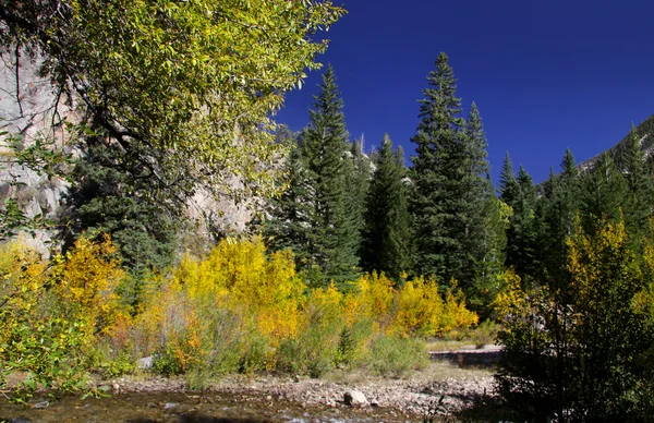 Landschaft in Kolorado — Stockfoto