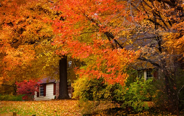 Hermoso paisaje de otoño —  Fotos de Stock