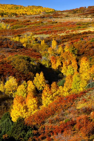 Stock image Dallas divide in Autumn