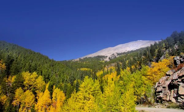 Осень в Колорадо — стоковое фото