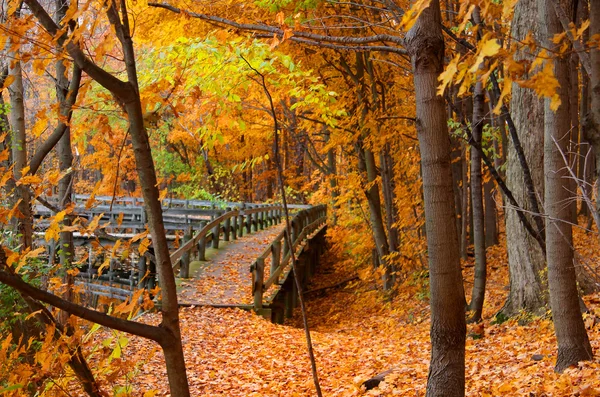 Caminhada de tabuleiro na paisagem outono — Fotografia de Stock
