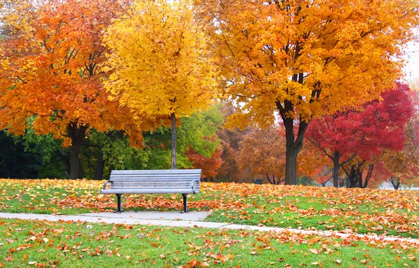 Autumn landscape — Stock Photo, Image