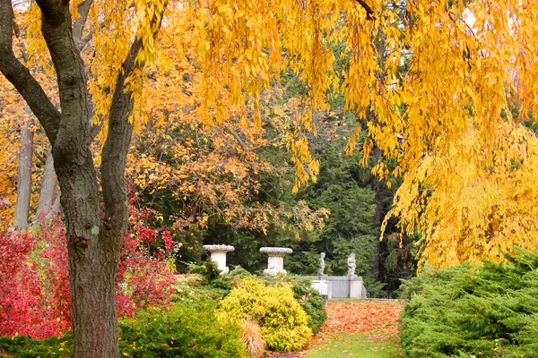 Autumn landscape — Stock Photo, Image