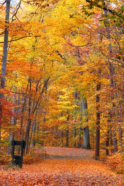 Landschaftliche Herbstlandschaft — Stockfoto