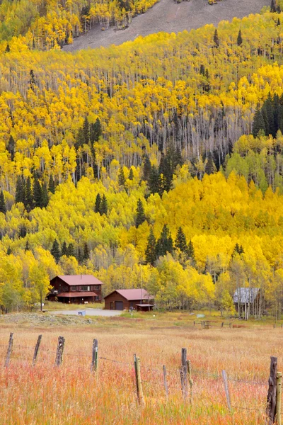 Herfst in colorado — Stockfoto