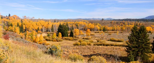 Jesienna panorama — Zdjęcie stockowe