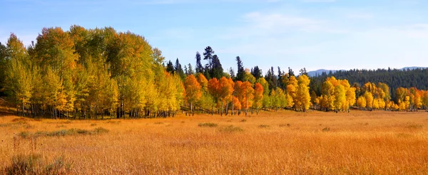 Panorama do outono — Fotografia de Stock