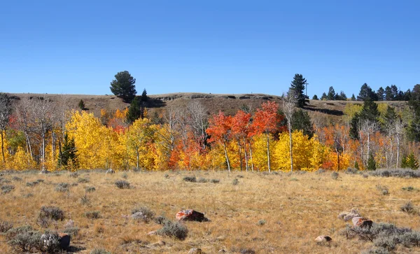 Panorama de otoño —  Fotos de Stock