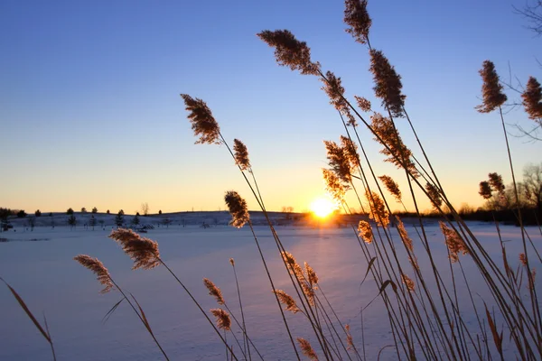 Zimowe zachody słońca — Zdjęcie stockowe