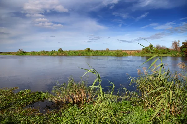 Tropical landscape — Stock Photo, Image