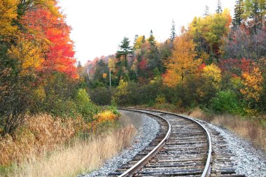 tren yolu