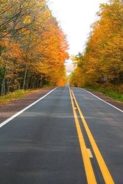 Autumn Drive clipart