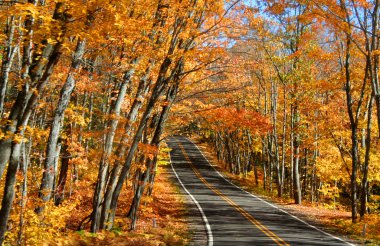 Autumn Drive clipart