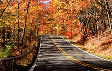 Scenic Autumn Drive clipart