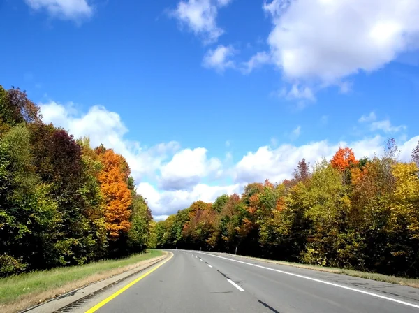 Droga przez jesień — Zdjęcie stockowe