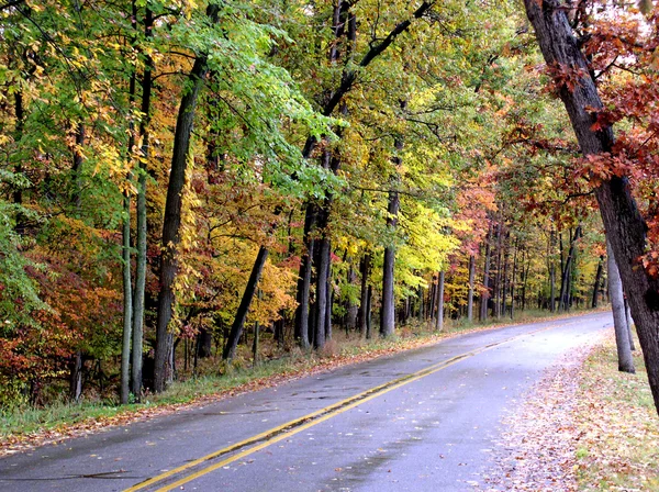 stock image Scenic Drive