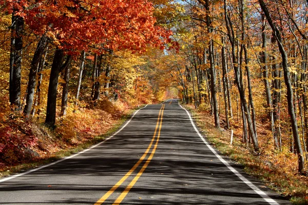 Cesta přes podzim — Stock fotografie