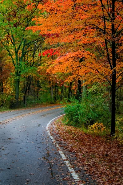 Cesta přes podzim — Stock fotografie