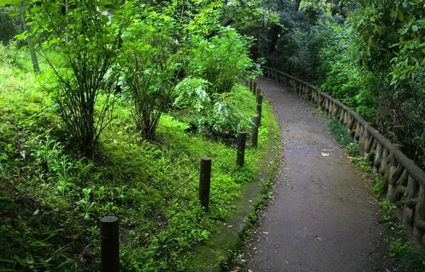 Jardín japonés — Foto de Stock