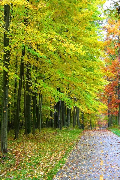 Caminhada de outono — Fotografia de Stock