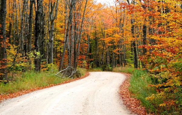 Camino a través de árboles de otoño — Foto de Stock