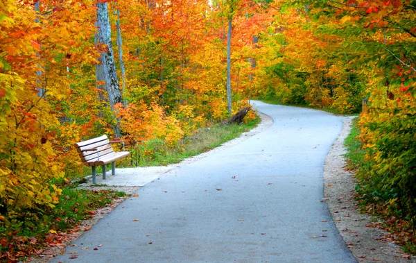 Paseo a través de árboles de otoño — Foto de Stock