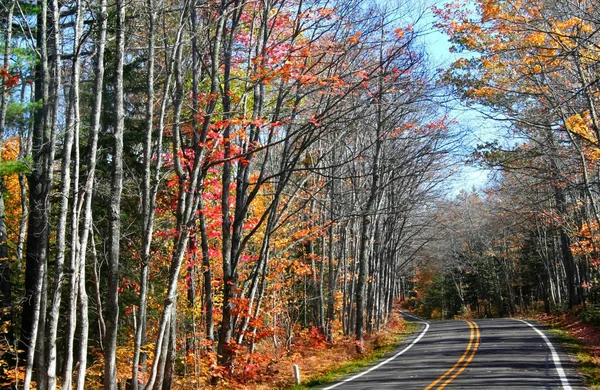 Drive Through Autumn Trees — Stock Photo, Image