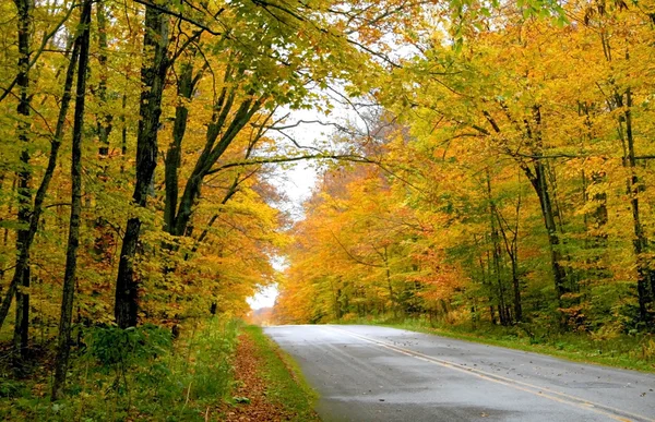 Podzimní cesta cesta — Stock fotografie