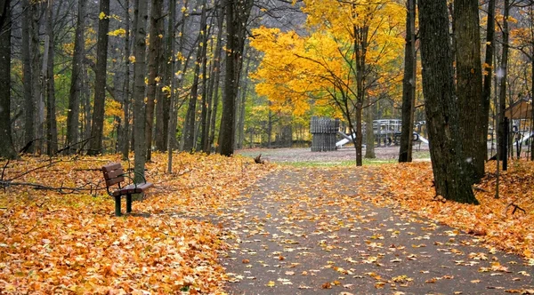 Sonbahar yürüme yolu — Stok fotoğraf
