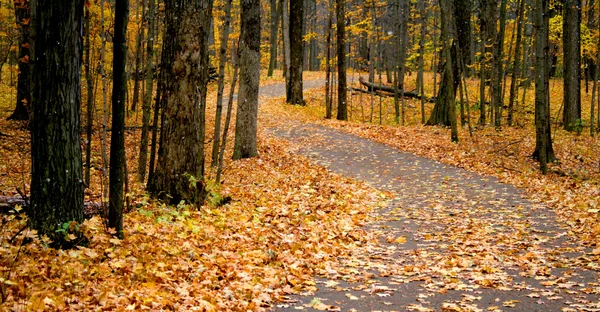 Caminhada de outono — Fotografia de Stock