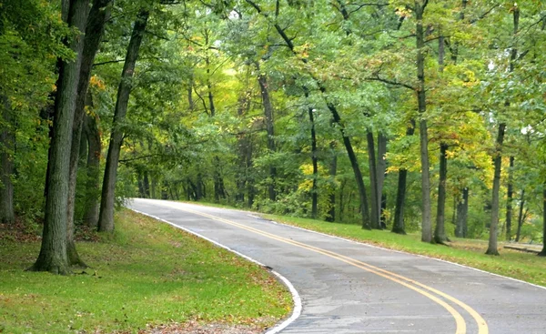 Stock image Drive Through Woods