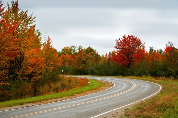 Jesień jazdy sposób — Zdjęcie stockowe