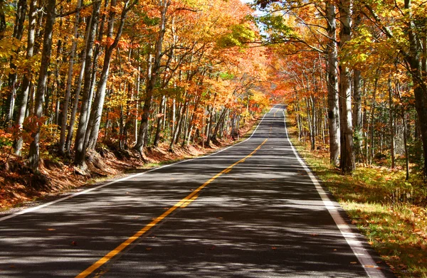 Impulsión escénica otoño — Foto de Stock