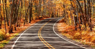 Scenic Autumn Drive clipart